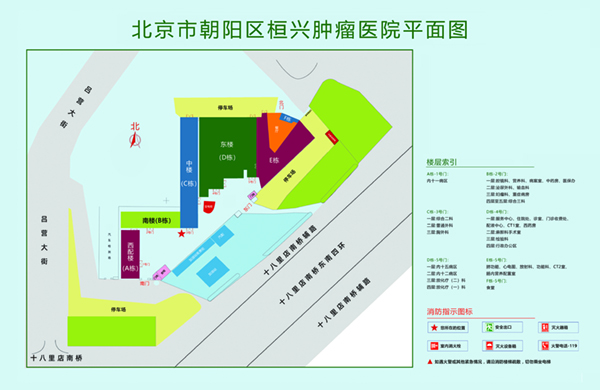 韩日男人操逼北京市朝阳区桓兴肿瘤医院平面图